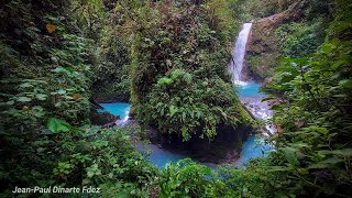 Blue Falls of Costa Rica  Compilation 2024 [upl. by Abih]