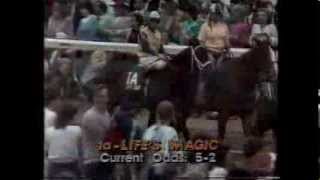 SWALE  Kentucky Derby 1984 [upl. by Aicnarf]