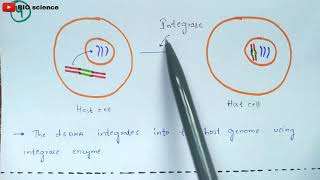 Retrovirus mediated Gene transfer  RMGT  procedure  Bio science [upl. by Yhtuv]