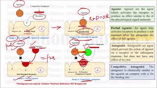 Class 36 Competitive and Noncompetitive antagonist  Medicinal Chemistry 01  What is Antagonist [upl. by Cutler]