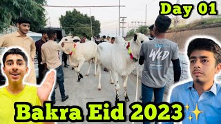 Bakra Eid 2023😍DAY 01✨ [upl. by Adoc]