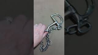 Kimberwicke Stainless Steel Bit  an honest review horse tack review [upl. by Mahmud]