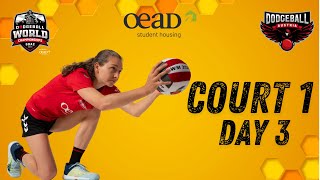 COURT 1  Day 3  Dodgeball World Championships [upl. by Airasor]