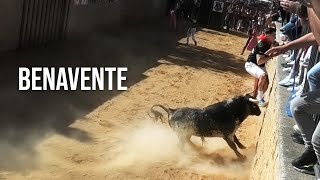 Benavente 2024 Toros de Los Condes Duques [upl. by Cini]