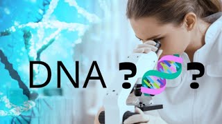 🧬 DNA   Structure of DNA  Presentation [upl. by Nneb]