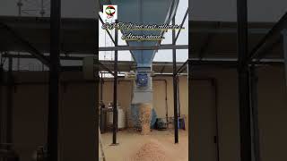 GPT Dust Extraction system for wood dust [upl. by Ettegirb]