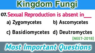 fungi mcq  classification of fungi  biological classification mcq [upl. by Esertal630]