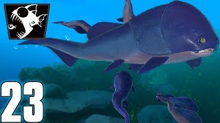 LE COCCOSTEUS LE COUSIN DU DUNKLEOSTEUS  Feed And Grow 23 FR [upl. by Lipkin]