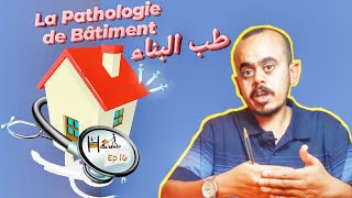 آش قال البناي الحلقة 16 علم أمراض البناء  طب البناء Les Pathologies de Bâtiment [upl. by Sirronal]