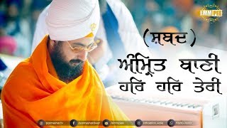 Amrit Baani Har Har Teri – Shabad Kirtan  ਅੰਿਮ੍ਰਤ ਬਾਣੀ ਹਰਿ ਹਰਿ ਤੇਰੀ  Dhadrianwale [upl. by Ainitsirc]