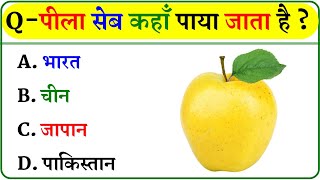 GK Question  GK In Hindi  GK Question and Answer  GK Quiz [upl. by Lowis]