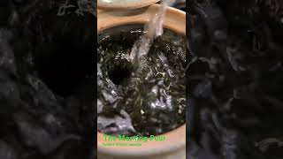 The Morning Pour Yutaka Midori sencha tea asmr greentea sencha slomo shiboridashi [upl. by Wolenik]