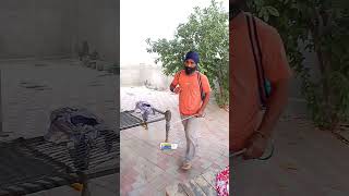 Varun ko chot lag gye 😢😂shorts funny video subscribe [upl. by Birdella]