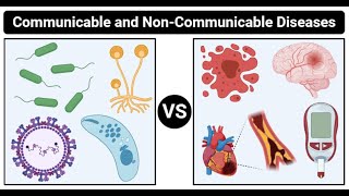 List any two differences between infectious and noninfectious diseases Write any one example [upl. by Dao979]