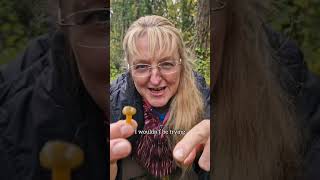 JELLY BABY  lovely little mushroom charnwoodforaging mushroom [upl. by Lotte]