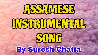 Najaba Najaba  Assamese Instrumental Song  Suresh Chatia [upl. by Nosro701]