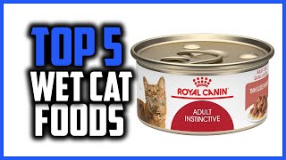 ✅Top 5 Best wet cat foods in 2024 [upl. by Sevy]