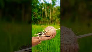 Outstanding bamboo creation 😃😁 satisfying coconut ytshorts durian birds bamboocrafts [upl. by Barraza]