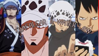 Trafalgar D Water Law AMV falling [upl. by Schilling]