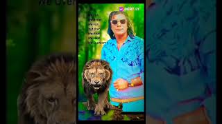 AzeemOShaan Shahenshah Sher aaya sher King 👑🦁music travel tiger sher like subscribe [upl. by Ruelle32]