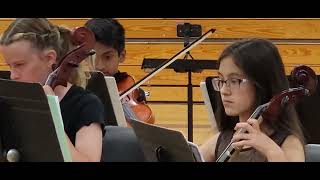 Meadowbrook Middle School 6th grade orchestra Spring 2022 [upl. by Naltiac]