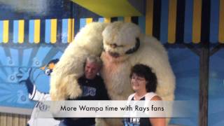 Wampa at the Tampa Bay Rays Star Wars Night [upl. by Cinda]