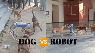 Dog Fighting with Robot 🐶  Dog Vs Robot In IIT Kanpur  puppies robotics techkriti [upl. by Churchill]