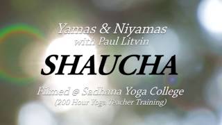 Shaucha Yamas and Niyamas with Paul [upl. by Zuzana]