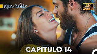 Pájaro Soñador Capítulo 14 Doblado En Español 4K [upl. by Taddeo]