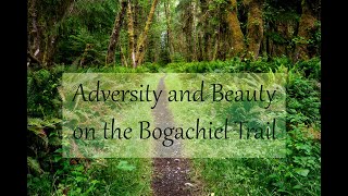 Adversity and Beauty on the Bogachiel Trail [upl. by Darnall]