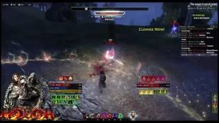 Stamina Nightblade Duells Dark Brotherhood PTS  Elder Scrolls Online ESO [upl. by Enilraep]