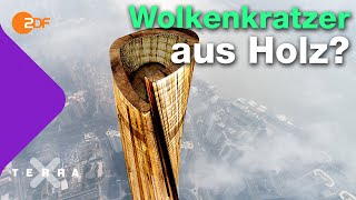 Mit Holz statt Beton klimafreundlicher bauen  Terra X plus [upl. by Ethel]