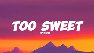 HozierToo SweetLyricsMusic Video [upl. by Brod]