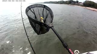 Bass fishing on Ontario Lake  1  2024 [upl. by Vin]