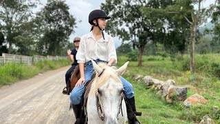 Visiting Khaoyai Thailand for the first time  ROADTRIP  HORSERIDING [upl. by Bernj254]