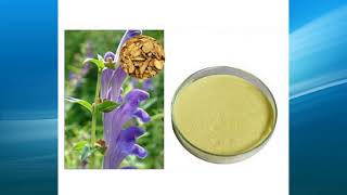 scutellaria baicalensis extract supplierwholesalebulkfactory [upl. by Rind612]