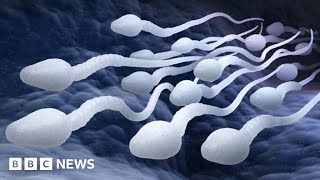 Male contraceptive pill a real possibility say scientists  BBC News [upl. by Ilojne735]