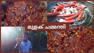 ഉള്ളിമുളക് ചമ്മന്തി  Dry Red Chilly Chutney  Ulli Mulakku Chammanthi For Kappa Dosa Easy Recipe [upl. by Ahsillek]