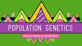 Population Genetics When Darwin Met Mendel  Crash Course Biology 18 [upl. by Fremont]