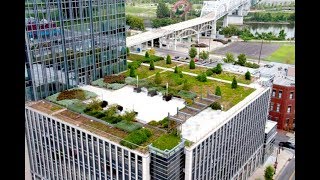 Presentation from Steven Peck Green Roofs for Healthy Cities [upl. by Broek29]