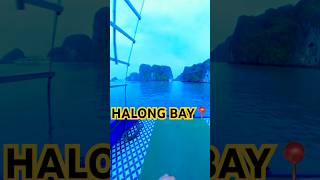 Halong Bay  Vietnamhalong halongbaytravel halongbaycruise vietnam ytshorts travel travelvlog [upl. by Ativahs828]