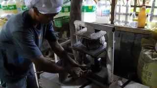 removing Pili Nut Oil from the Pili drupe Pulp [upl. by Anson]