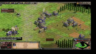 TooManyVariables Incas vs ECU Feynman Slavs  AoE2 DE [upl. by Kerns]