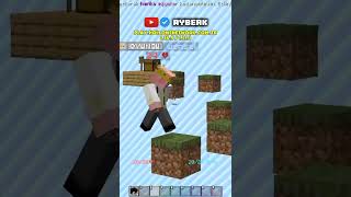 Minecraft SkyBlock Sunucusunda Oyuncu Trolledim 💎⛏️ minecraft shorts [upl. by Olyhs]