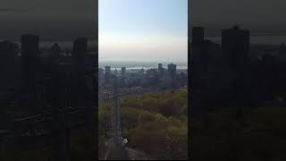 View from Montreals Mount Royal TourismMontreal Montreal drone dronevideo [upl. by Llerroj]