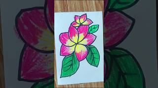 Frangipani Drawing RNDrawing shorts VeryEasVeryEasyDrawing DrawingVideo bestdrawing [upl. by Mcclain644]