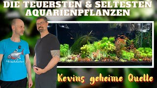 Teures Hobby  Seltene Aquarienpflanzen sammeln  AQUAddicted Unterwegs bei Raritätensammler Frank [upl. by Okihcas720]