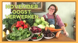 NOVEMBER OOGST VERWERKEN  Inmaken amp Wecken  Moestuin Oogst [upl. by Weingarten]