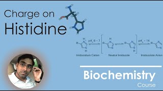 How Charge of Histidine varies with pH [upl. by Anaidirib]