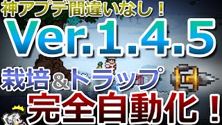 【テラリア】神アプデ間違いなし！最新アップデート情報Ver145について、現段階で分かることまとめました！ [upl. by Calva]